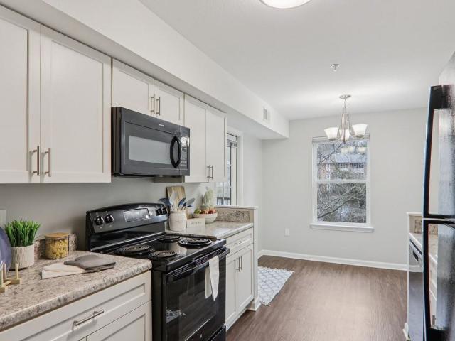 Apartment for rent in Greenville, South Carolina