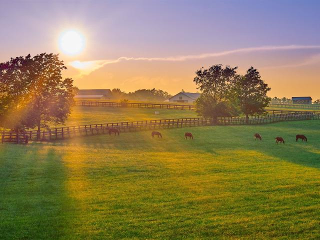 Landejendom til salg i Hoptrup, Haderslev