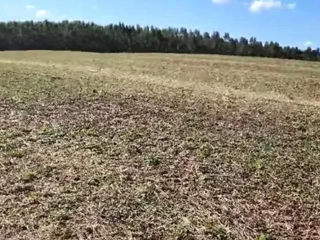 Fazenda venda em Região Geográfica Imediata de Telêmaco Borba, Curiuva