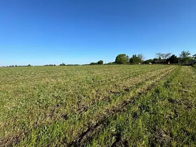 Terrain vente à France métropolitaine, Plassac