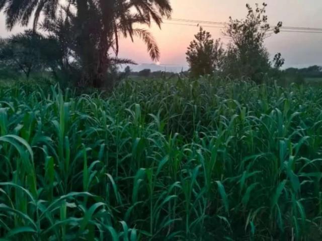 Land for sale in Mianwali, Islamabad Capital Territory