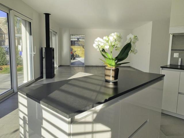 Reihenfamilienhaus mieten in Veyrier