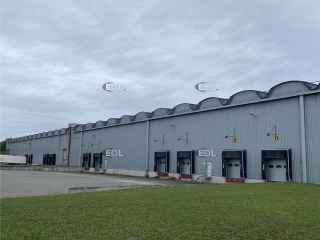 Local Commercial location à Ottmarsheim, Collectivité européenne d'Alsace
