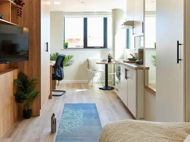 Studio for rent in Lansdowne, Springbourne