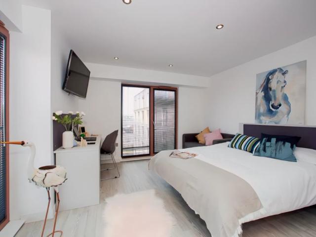 Studio for rent in Newtown, Two Mills