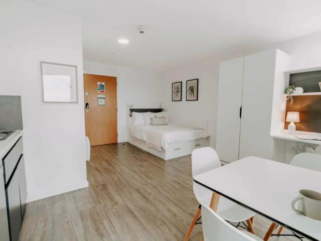 Studio for rent in Lansdowne, Springbourne