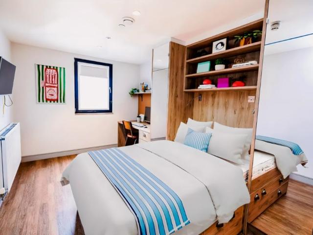 Studio for rent in Plasnewydd, Falcon Lodge