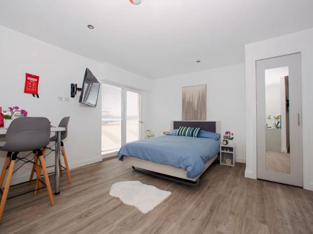 Studio for rent in The Meadows, Haddon