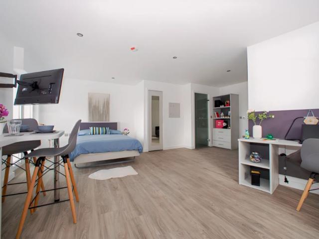 Studio for rent in The Meadows, Haddon