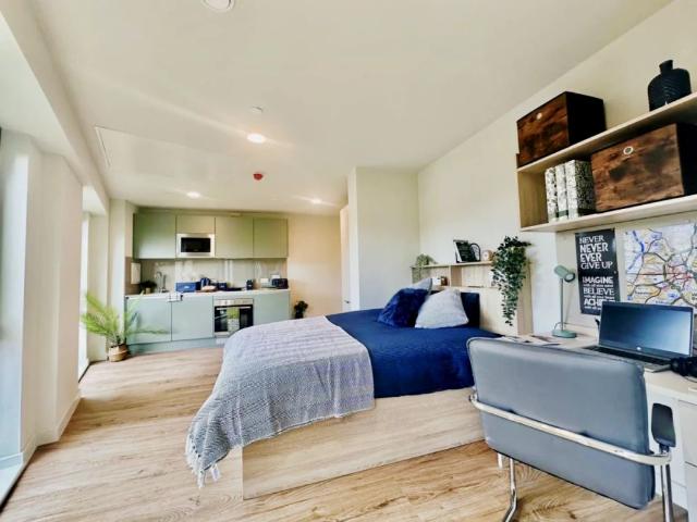 Studio for rent in The Meadows, Haddon