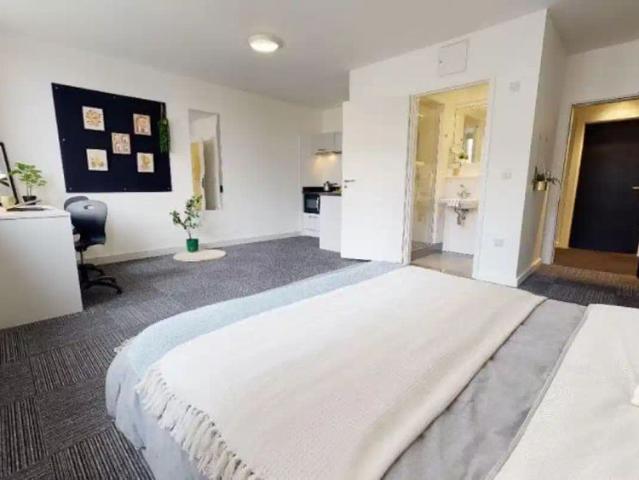 Studio for rent in Haddon, East Midlands