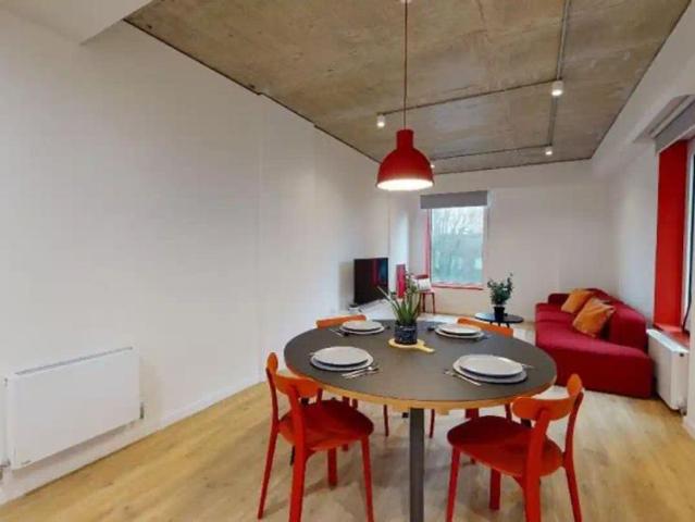 Studio for rent in Hollingdean, Brighton & Hove