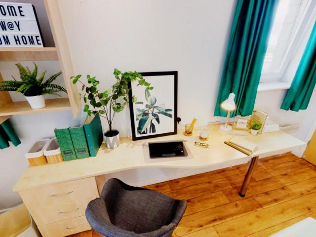 Studio for rent in Upper Bangor, Bangor