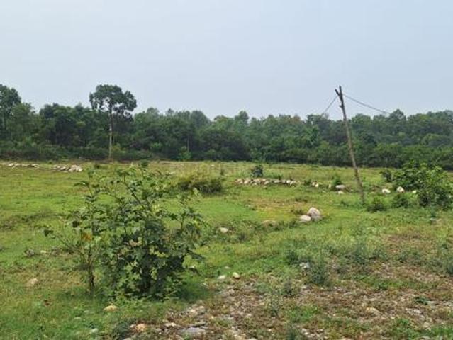 Land for sale in Horawala, Uttarakhand