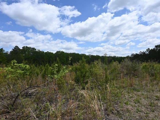 Land for sale in West Columbia, South Carolina