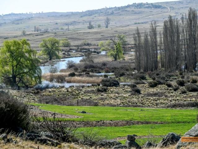 Acreage for sale in Dalgety, New South Wales