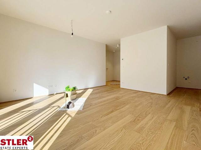 Wohnung kaufen in Mödling, Niederösterreich