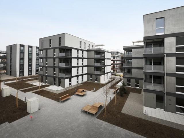 Wohnung mieten in Hiltere, Arbon