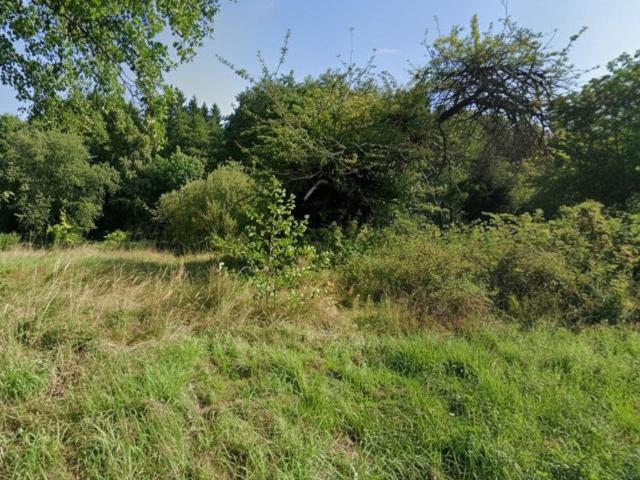 Grundstück kaufen in Stainz, Steiermark