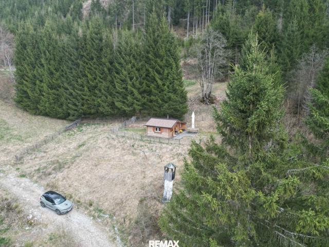 Grundstück kaufen in Untertauern, Salzburg