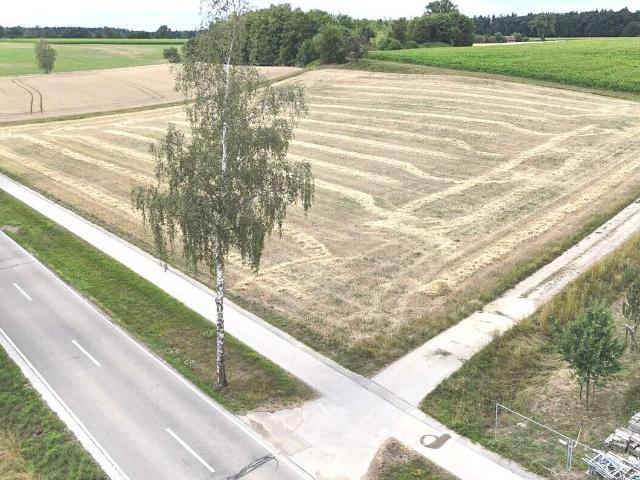 Erdgeschosswohnung kaufen in Wiesenbach, Rhein-Neckar-Kreis