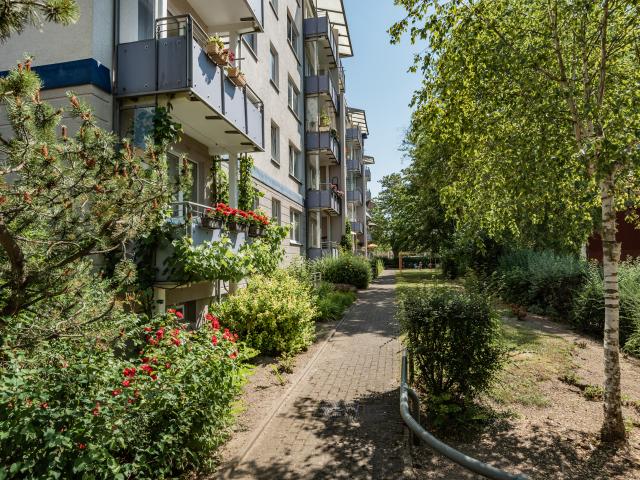 Apartment mieten in Neubrandenburg, Mecklenburg-Vorpommern