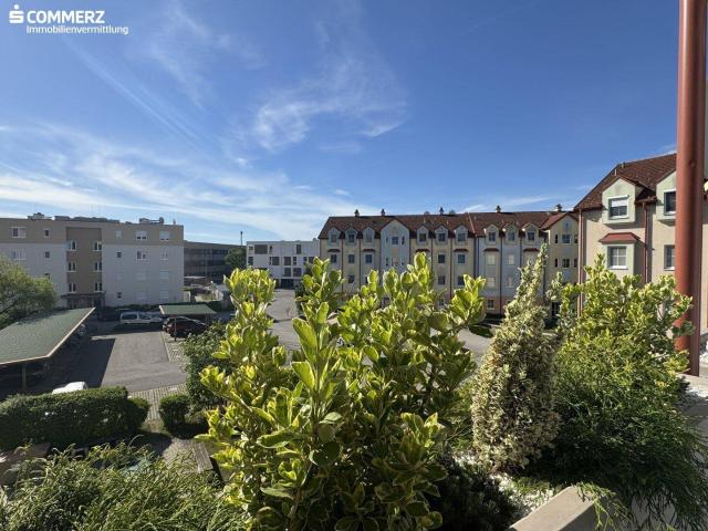Apartment kaufen in Neunkirchen, Niederösterreich