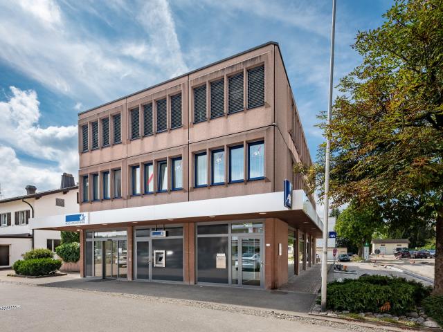 Industrie mieten in Berikon, Bezirk Bremgarten