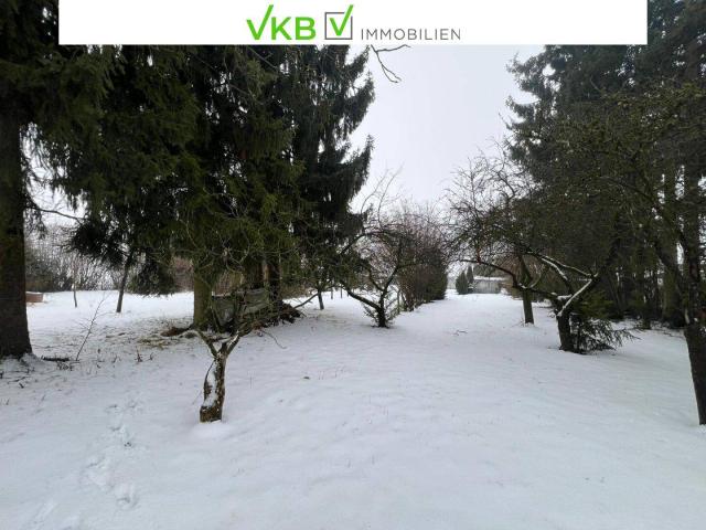 Immobilie kaufen in Alberndorf in der Riedmark, Oberösterreich