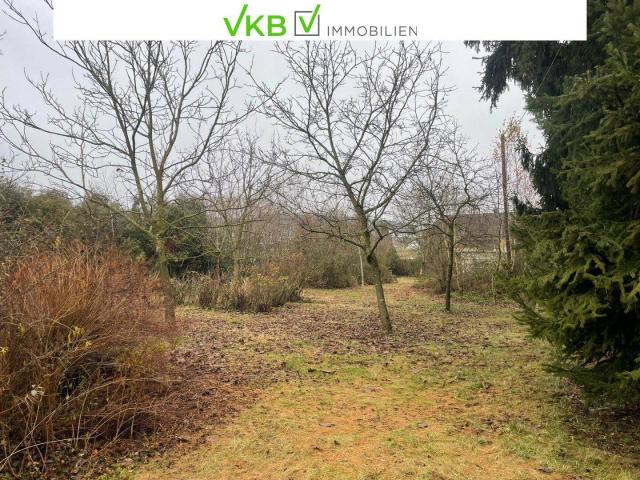 Immobilie kaufen in Alberndorf in der Riedmark, Oberösterreich