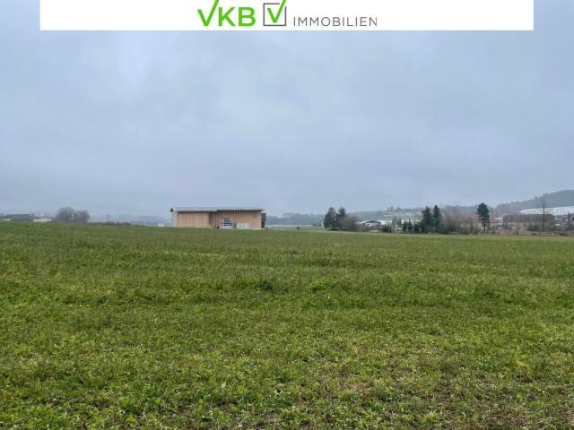 Grundstück kaufen in Alberndorf in der Riedmark, Oberösterreich