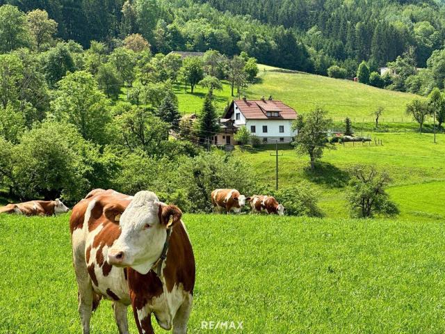 Haus kaufen in Obermitterdorf, Ruden