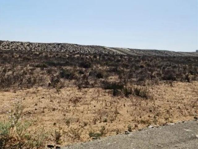 PLAYA MORRILLO COQUIMBO