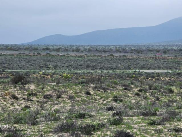 PLAYA MORRILLO COQUIMBO