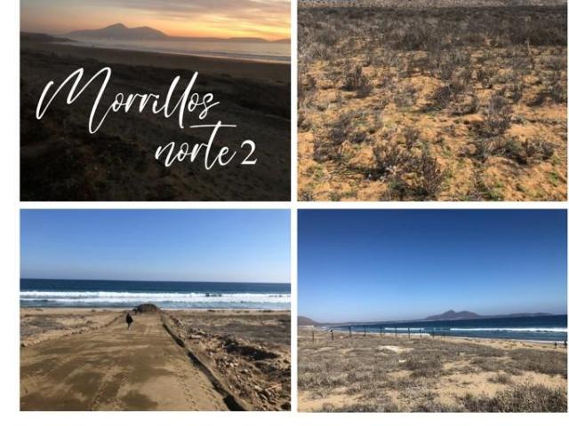 PLAYA MORRILLO COQUIMBO