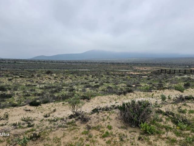 PLAYA MORRILLO COQUIMBO