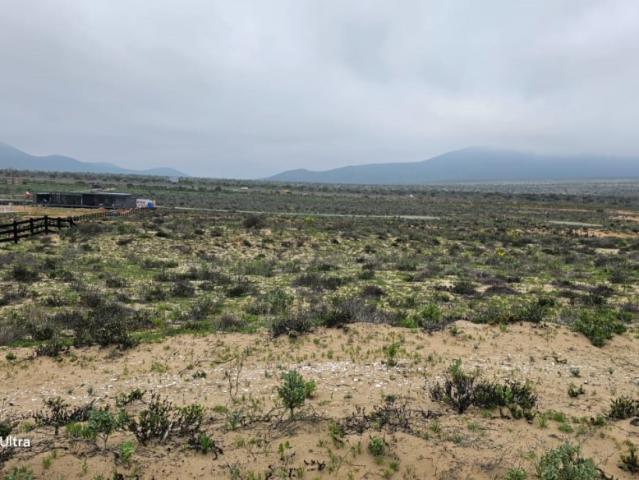 PLAYA MORRILLO COQUIMBO