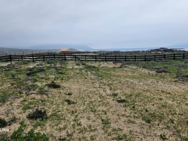 PLAYA MORRILLO COQUIMBO