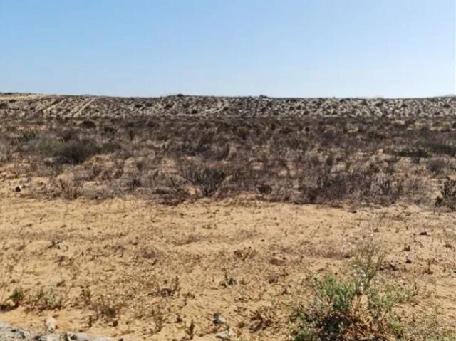 PLAYA MORRILLO COQUIMBO