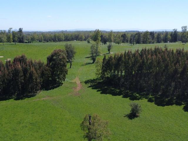 Terreno en venta en Valdivia, Los Ríos