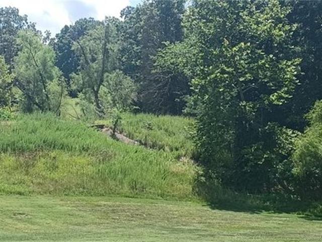 Land for sale in Gravois Mills, Missouri