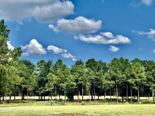 Land for sale in Gautier, Jackson County