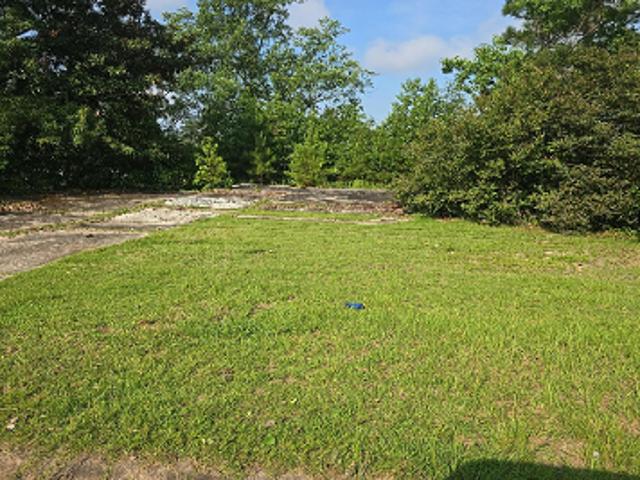 Land for sale in Box Springs, Georgia