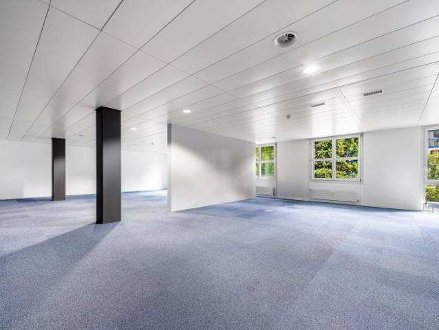 Atelier mieten in Dietikon, Zürich