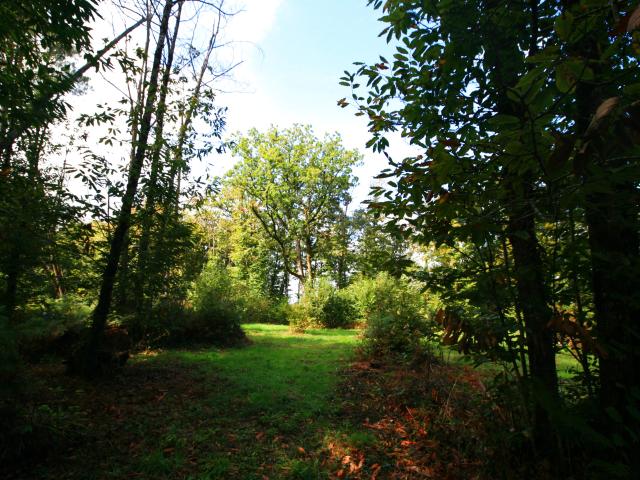 Terrain vente à Sarlat-la-Canéda, Plazac