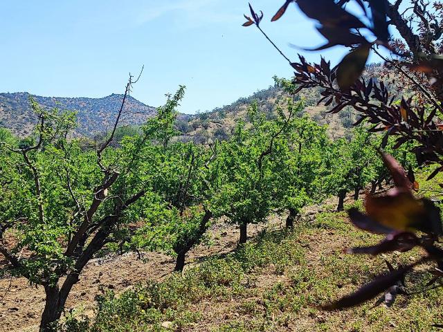 Plazuela de Polpaico