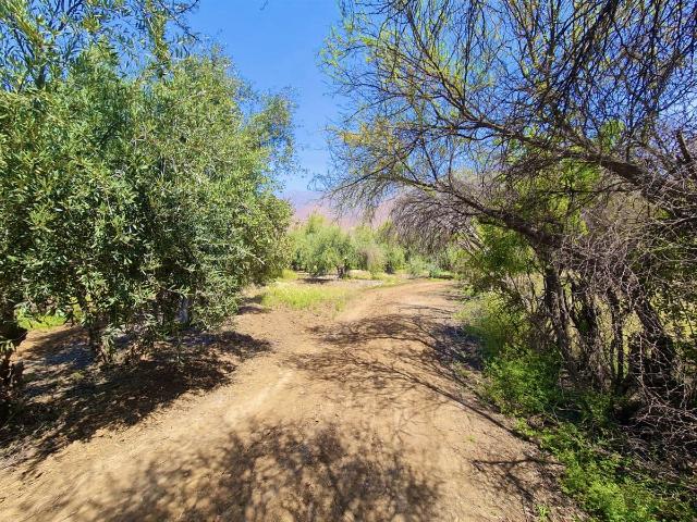 Plazuela de Polpaico