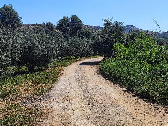 Plazuela de Polpaico