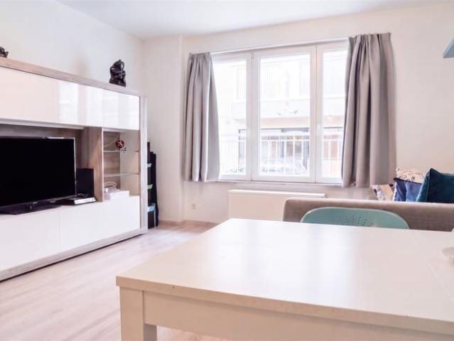 Kot location à Knokke-heist, West-Vlaanderen