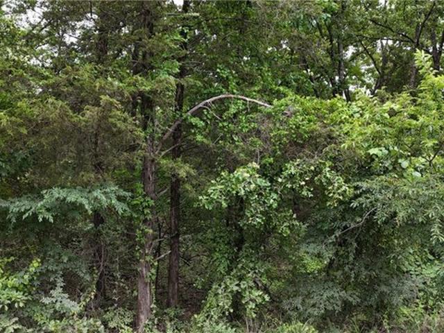 Land for sale in Ark